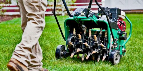 Lawn Fertilization, Lawn Care, Lawn Mowing, Grass Cutting, Lawn Maintenance, Lawn Care Business
