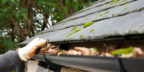 Gutter Cleaning, Gutter Clean out, Clean Leaf out of Gutters