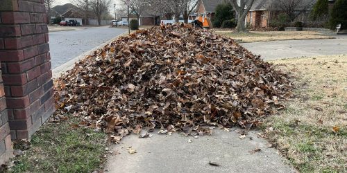 Leaf Removal, Leaf Clean Up, Spring Clean Up, Fall Clean Up