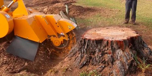 Stump Removal, Stump Grinding, Tree Stump Removal, Tree Service,
